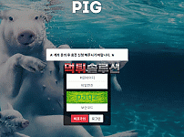 [신규검증완료] 피그먹튀검증 PIG먹튀검증 pig-330.com 먹튀 토토사이트