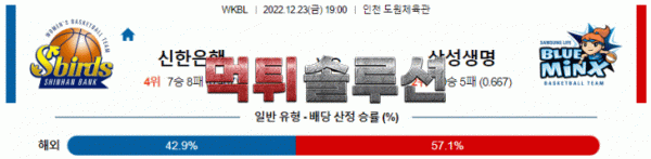 머귙솔루션 2022년 12월 23일 신한은행 삼성생명 경기분석 WKBL 농구