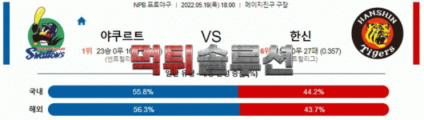 먹튀솔루션 2022년 05월 19일 야쿠르트 한신 경기분석 NPB 야구